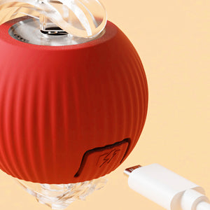 La Boule Magique - Balle interactive pour chat